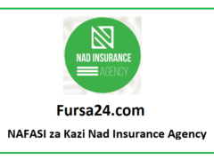 NAFASI za Kazi Nad Insurance Agency