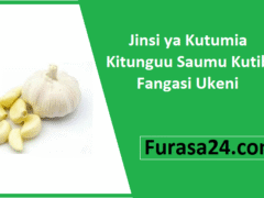 Jinsi ya Kutumia Kitunguu Saumu Kutibu Fangasi Ukeni