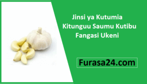 Jinsi ya Kutumia Kitunguu Saumu Kutibu Fangasi Ukeni