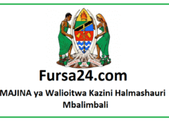 MAJINA ya Walioitwa Kazini Halmashauri Mbalimbali September 2025