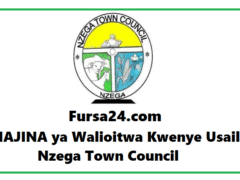 MAJINA ya Walioitwa Kwenye Usaili Nzega Town Council
