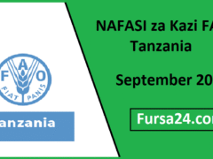 NAFASI za Kazi FAO Tanzania September 2025 NAFASI za Kazi FAO Tanzania September 2025