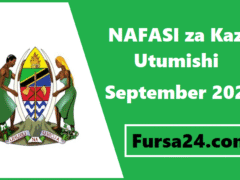 NAFASI za Kazi Utumishi September 2025 NAFASI za Kazi Utumishi September 2025